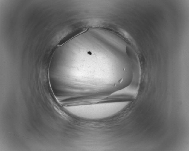 X0000082170393200702021732