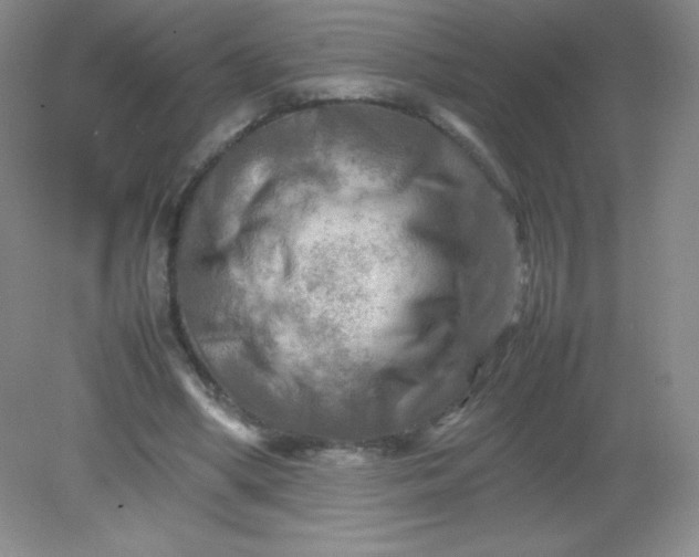 X0000082170394200702021732