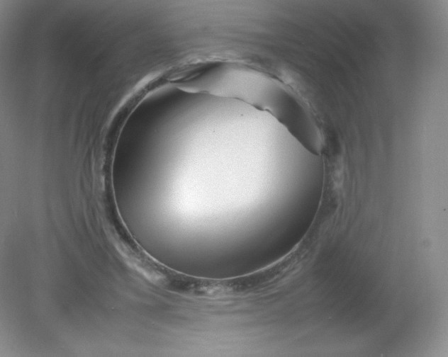 X0000082170395200702021732