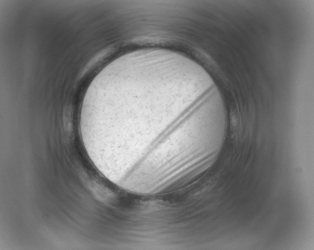 X0000082170396200702021732