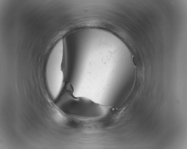 X0000082170397200702021732