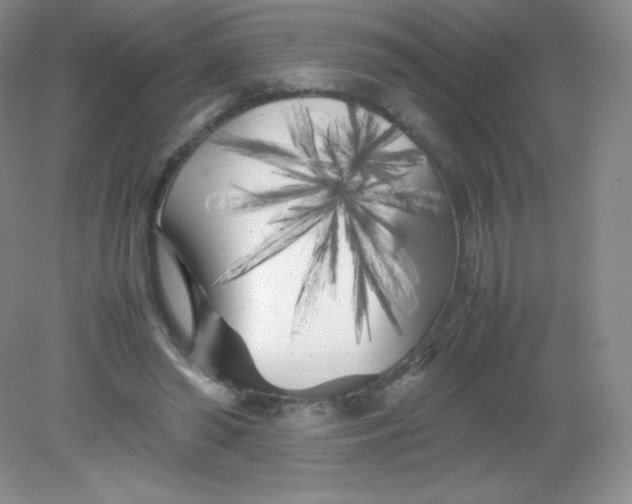 X0000082170398200702021732