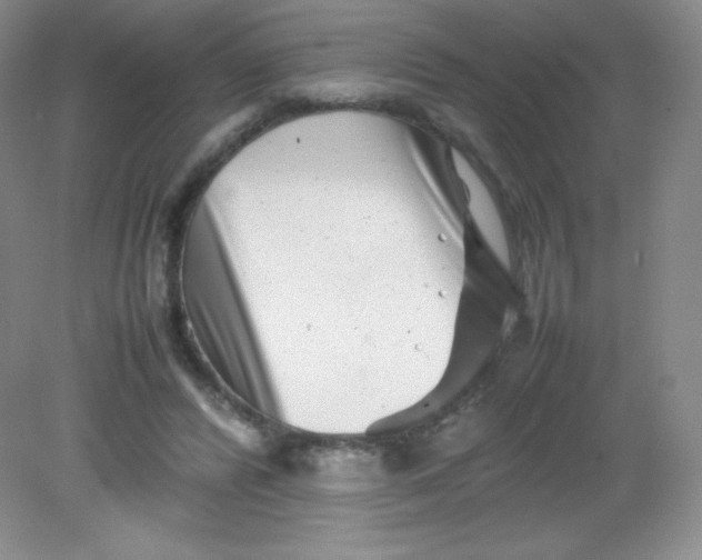 X0000082170400200702021732