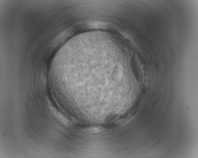 X0000082170402200702021732