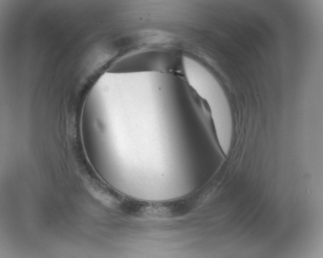 X0000082170403200702021732