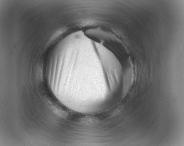 X0000082170404200702021732