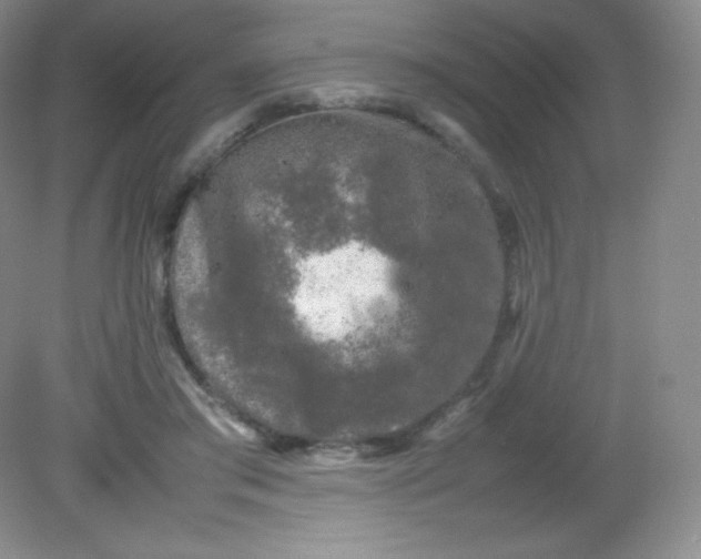 X0000082170405200702021732