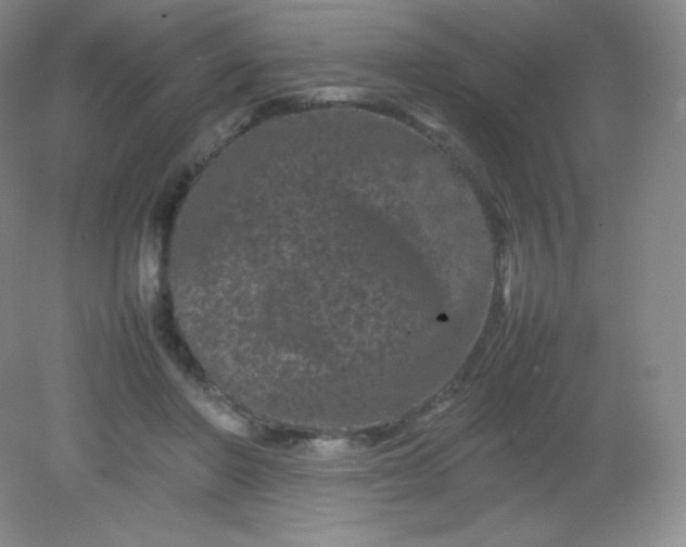 X0000082170406200702021732