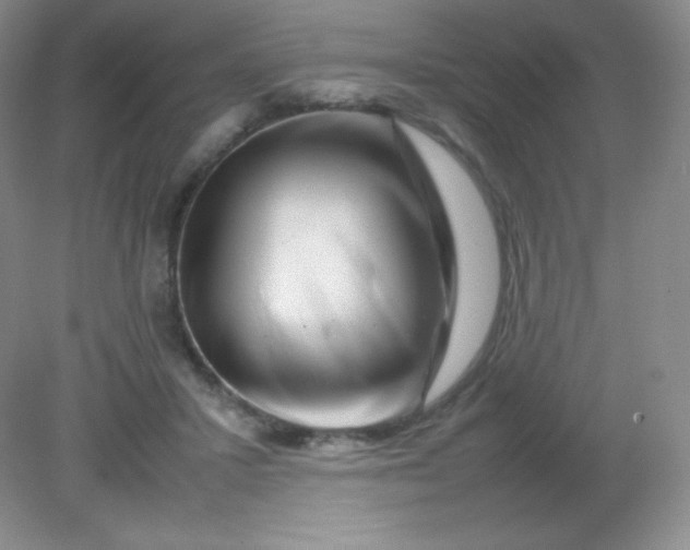 X0000082170407200702021732