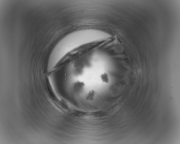 X0000082170408200702021732