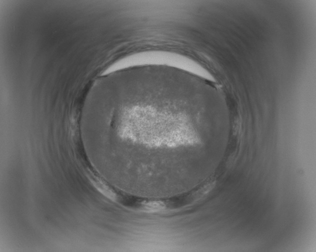 X0000082170409200702021732