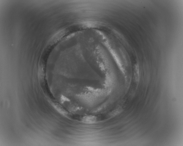 X0000082170410200702021732