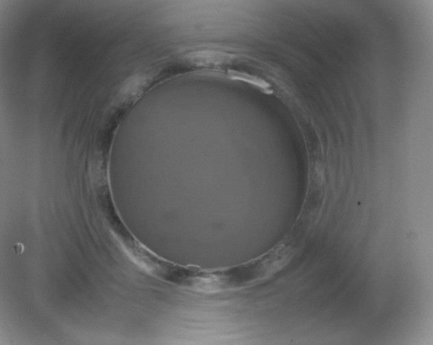 X0000082170411200702021732