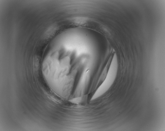 X0000082170412200702021732