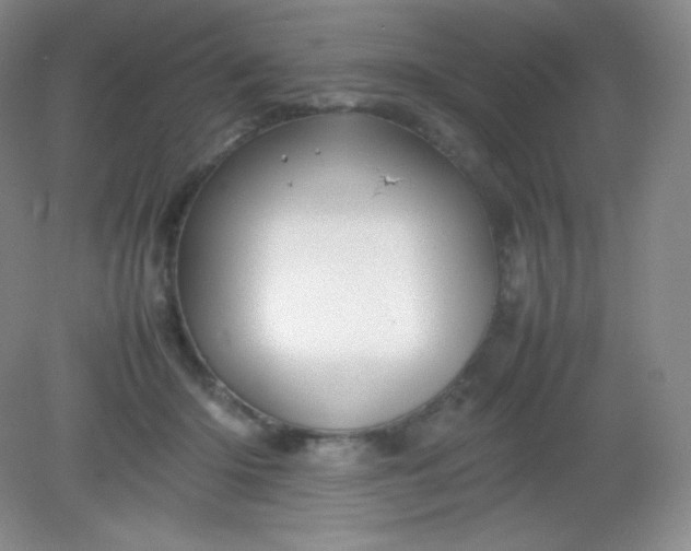 X0000082170414200702021732