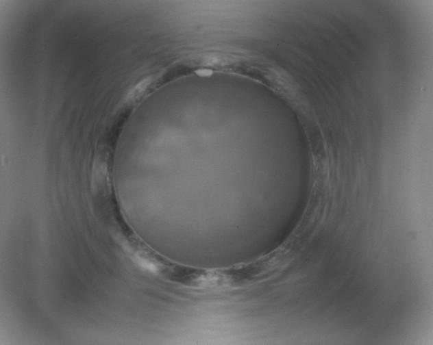 X0000082170415200702021732