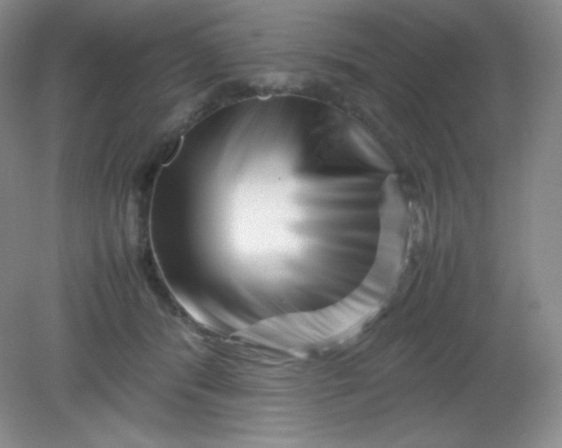 X0000082170416200702021732