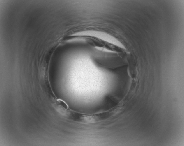 X0000082170417200702021731