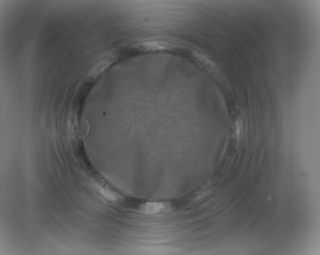 X0000082170418200702021731