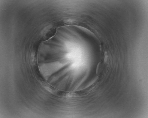 X0000082170420200702021731