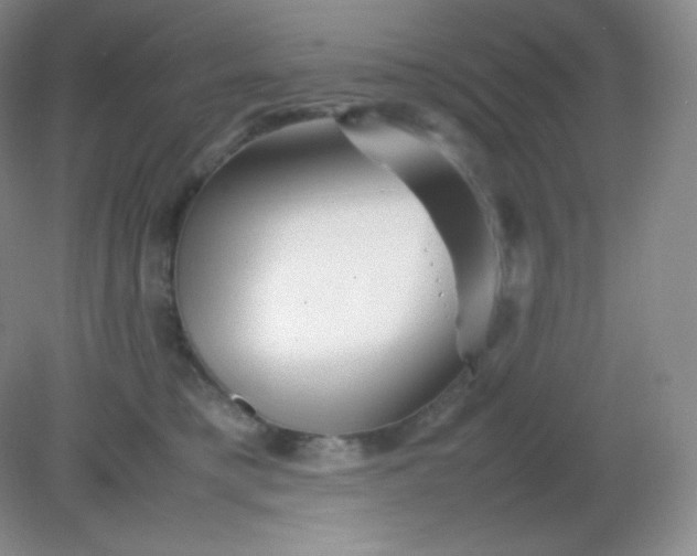 X0000082170421200702021731