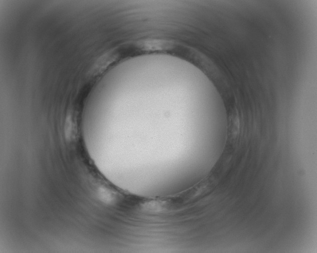 X0000082170422200702021731