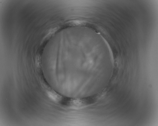 X0000082170423200702021731