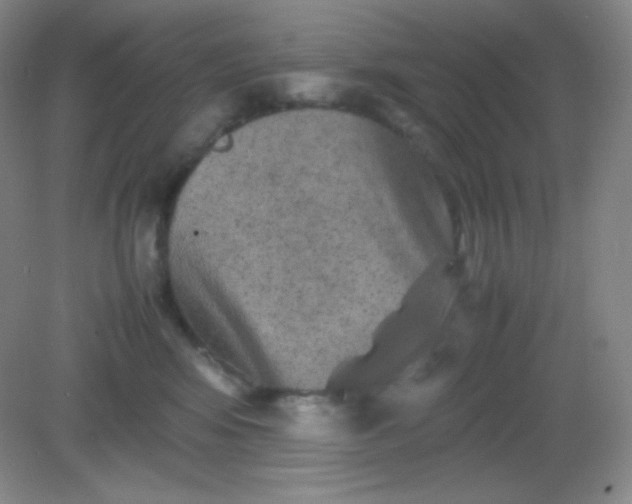 X0000082170424200702021731