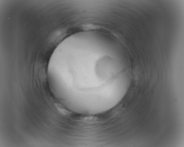 X0000082170426200702021731