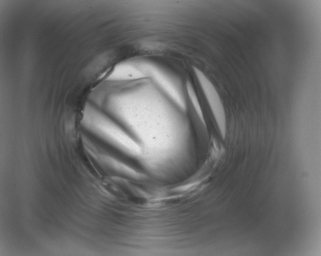 X0000082170428200702021731