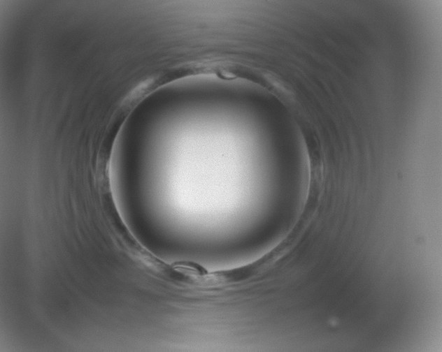 X0000082170429200702021731