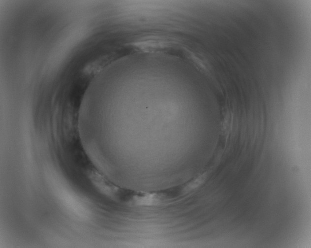 X0000082170430200702021731