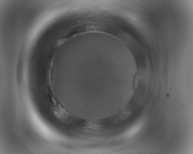 X0000082170431200702021731