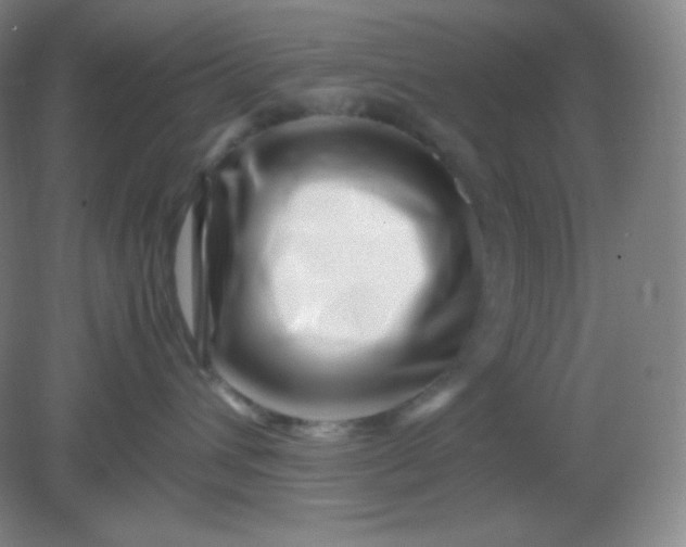 X0000082170432200702021731