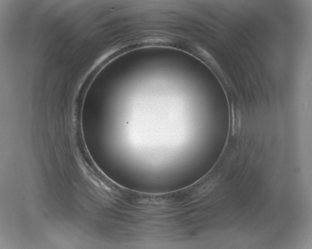 X0000082170435200702021730