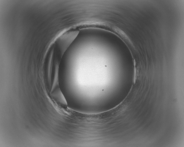 X0000082170436200702021730