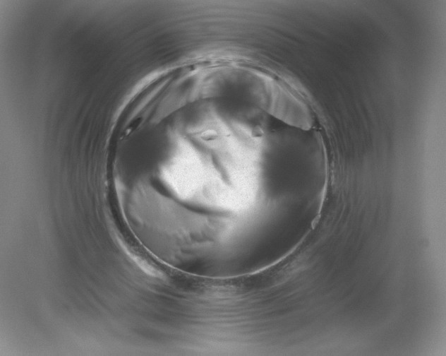 X0000082170438200702021731