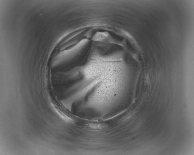 X0000082170439200702021731