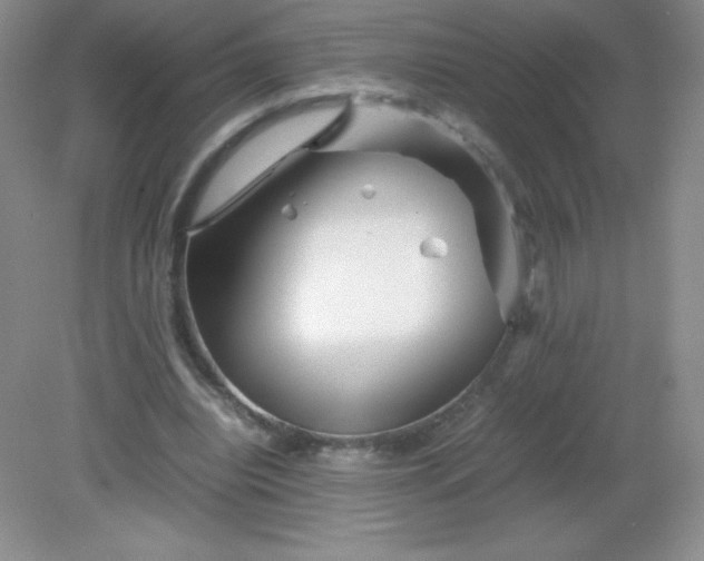 X0000082170440200702021731