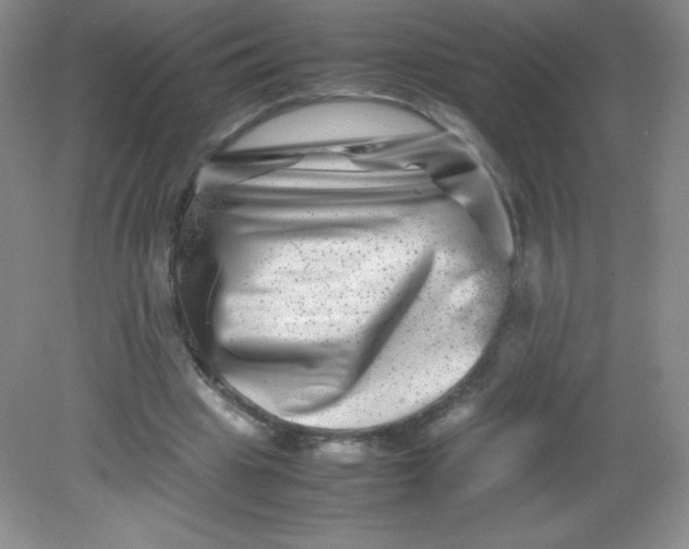 X0000082170441200702021731