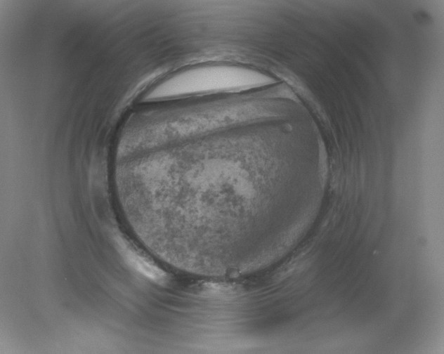 X0000082170442200702021731