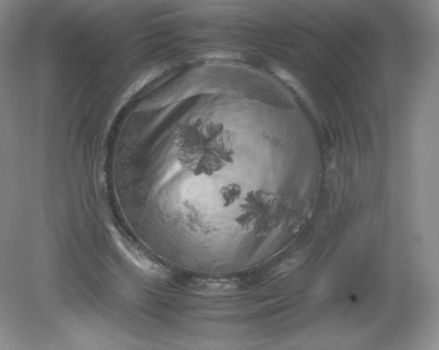 X0000082170443200702021731