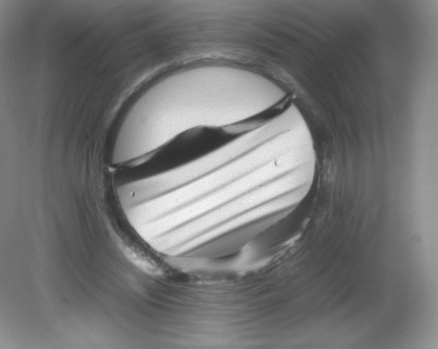 X0000082170444200702021731