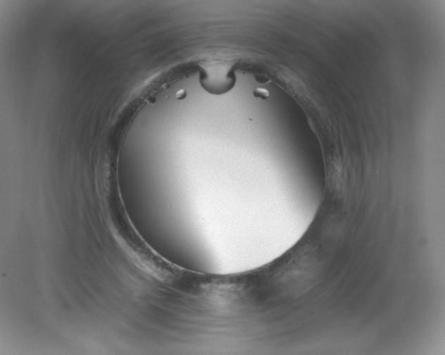 X0000082170448200702021731