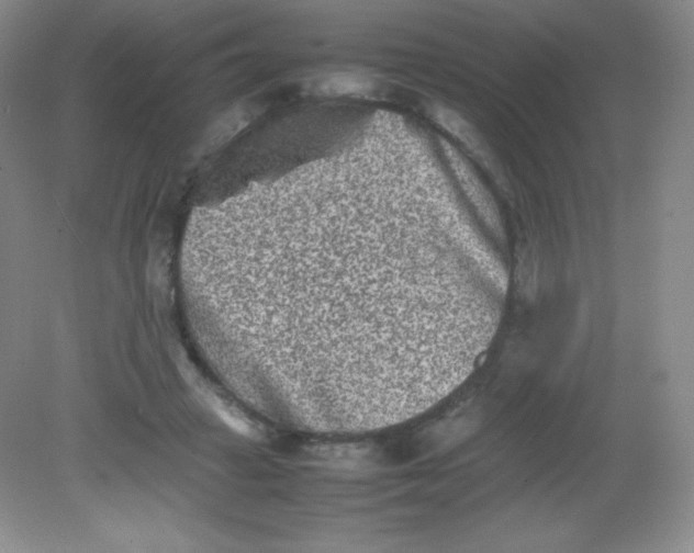 X0000082170449200702021731