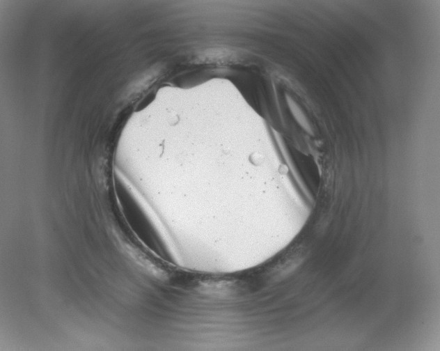 X0000082170450200702021731