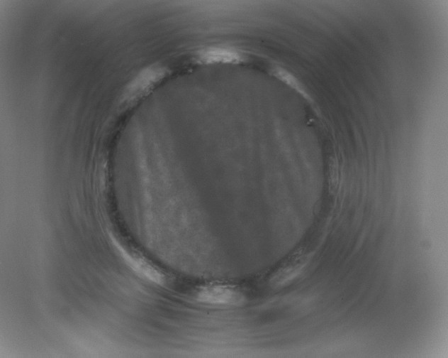 X0000082170451200702021731