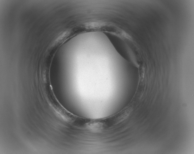 X0000082170452200702021731