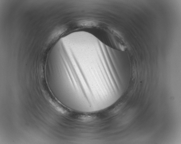 X0000082170453200702021731