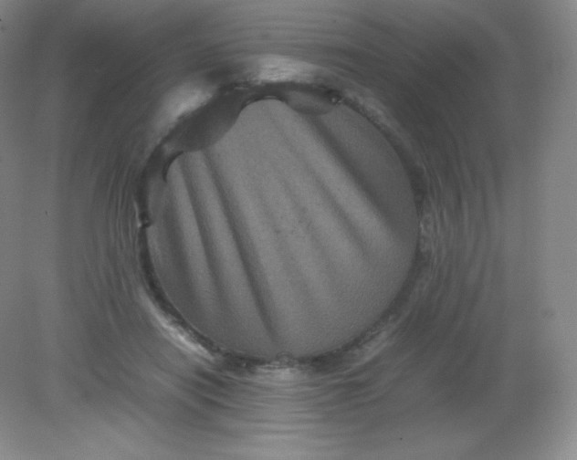 X0000082170454200702021731